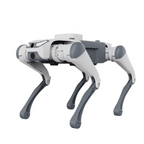 Master-Deep Robotics SID 1 (Lite 3)