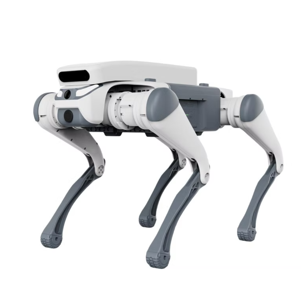 Master-Deep Robotics SID 1 (Lite 3)