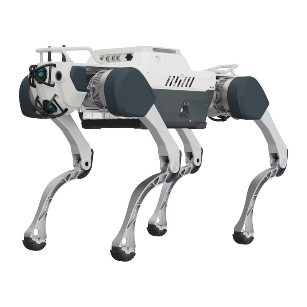 Master-Deep Robotics Rhino X30