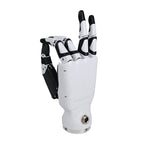 Master-Inspire Robots Mano robótica diestra RH56DFX-2R / RH56DFX-2L