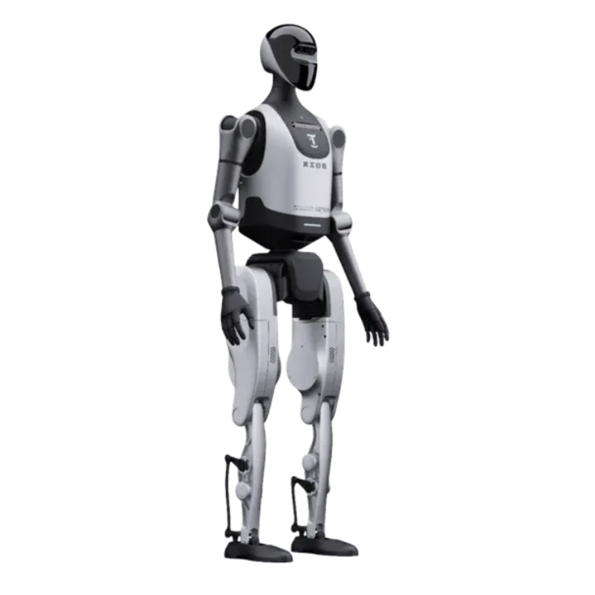 Master-UBTECH Walker Tienkung
