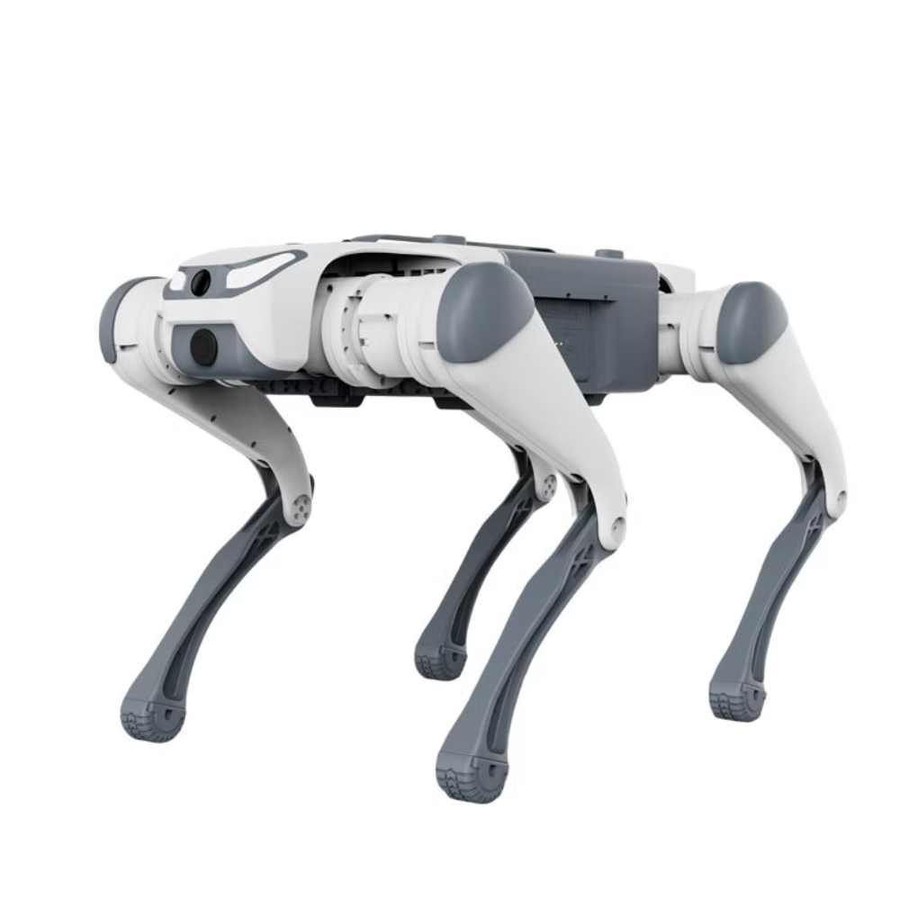 Master-Deep Robotics SID 1 (Lite 3)