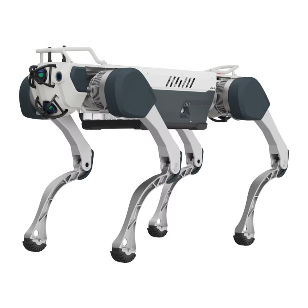 Master-Deep Robotics Rhino X30