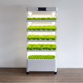 Sistema de cultivo hidropónico con 157 orificios de plantación y germinación