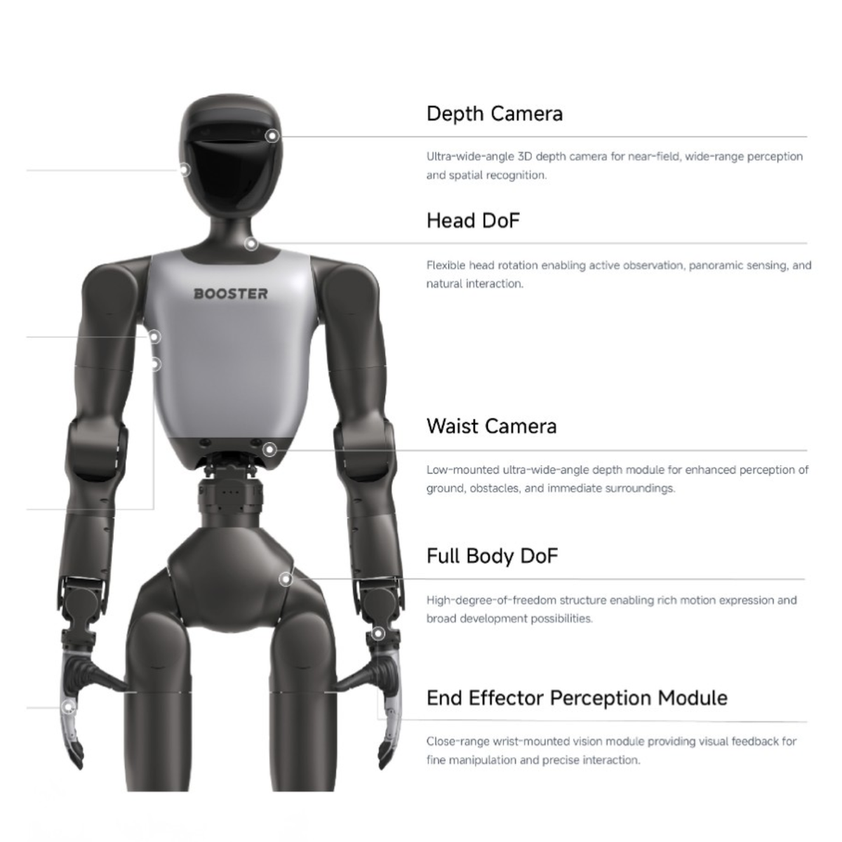 Booster Robotics T2 Pro - Humanoider Roboter, 31 DoF
