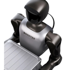 Booster Robotics T2 Pro - Humanoider Roboter, 31 DoF