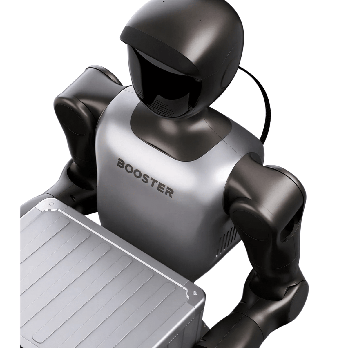 Booster Robotics T2 Pro - Humanoider Roboter, 31 DoF - F26111385 - Funduino