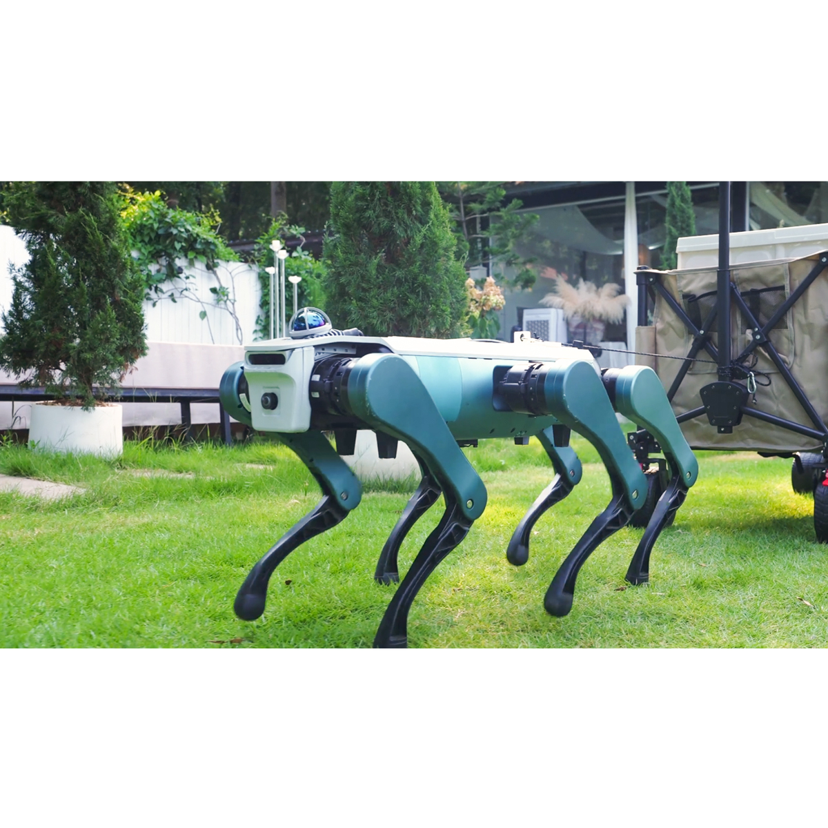DOBOT HEXAPOD - cane robot