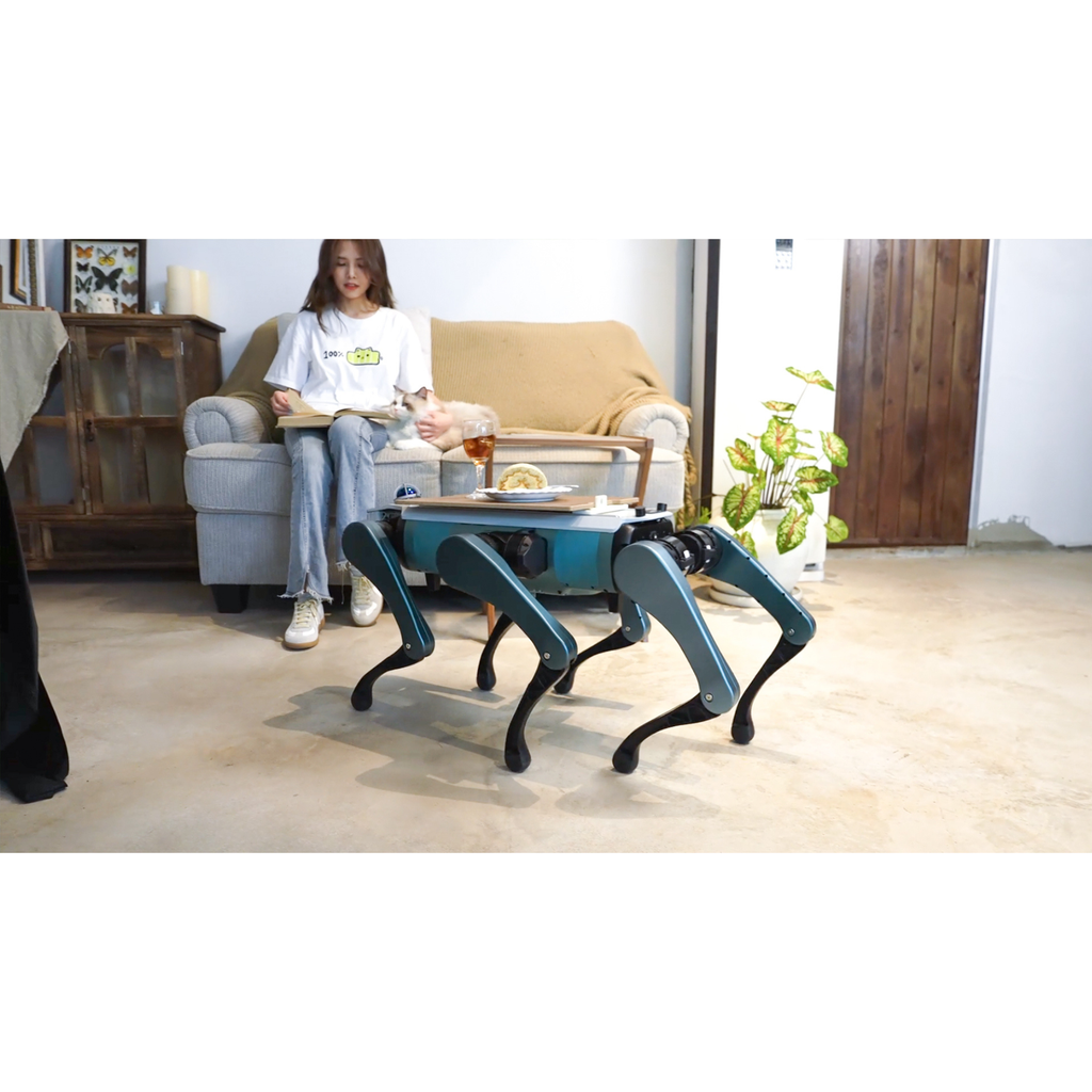 DOBOT HEXAPOD - cane robot