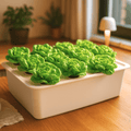 Hydroponiksystem - 11 Pflanzlöcher, LED-Licht, Indoor - F25110746 - Funduino