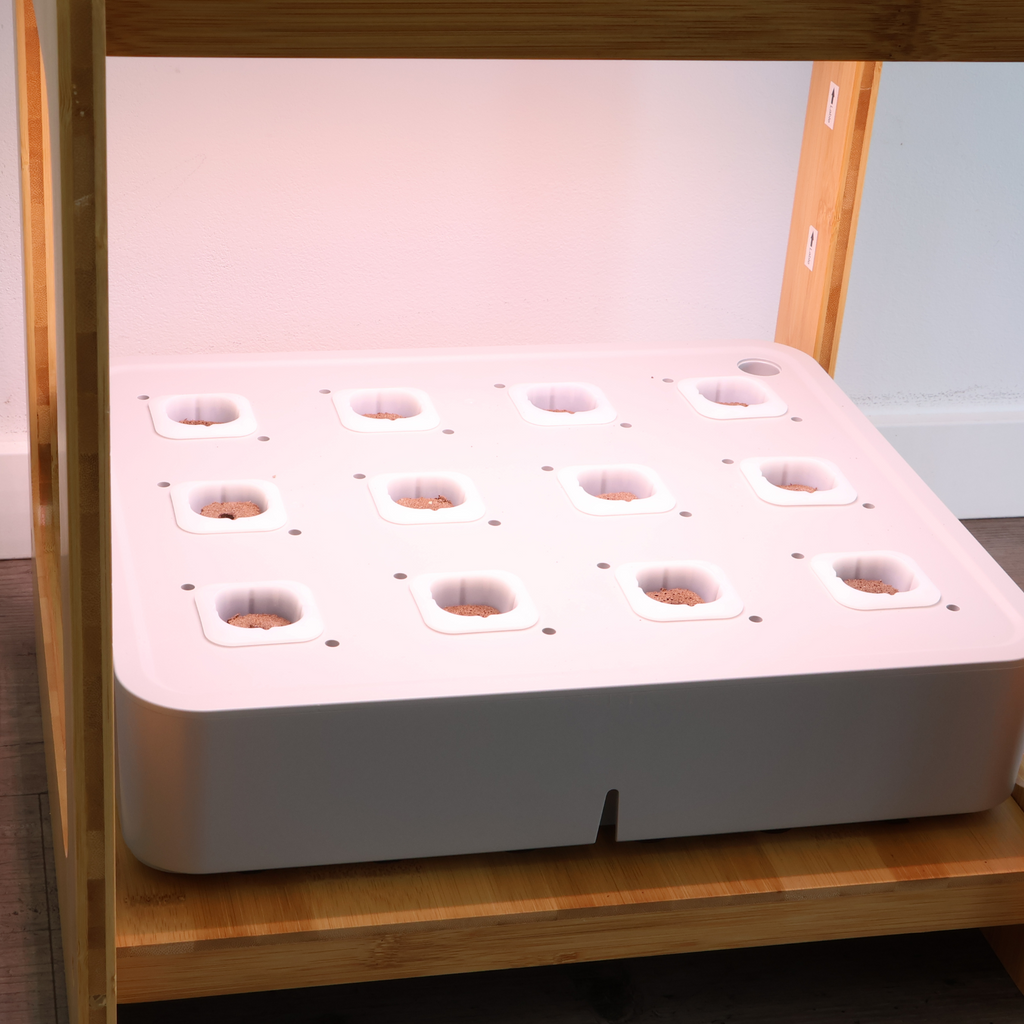 Hydroponik System Indoor - 12 Pflanzlöcher, 24 W LED Vollspektrum