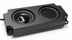 Luidsprekerset in behuizing 5W 8Ohm stereo / 2.54mm JST-stekker
