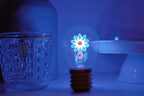 LED decorative lamp - glass bulb shape, USB battery, various designs