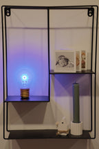 LED decorative lamp - glass bulb shape, USB battery, various designs