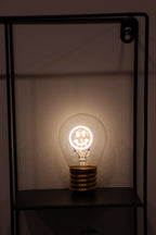 LED decorative lamp - glass bulb shape, USB battery, various designs