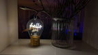 LED decorative lamp - glass bulb shape, USB battery, various designs