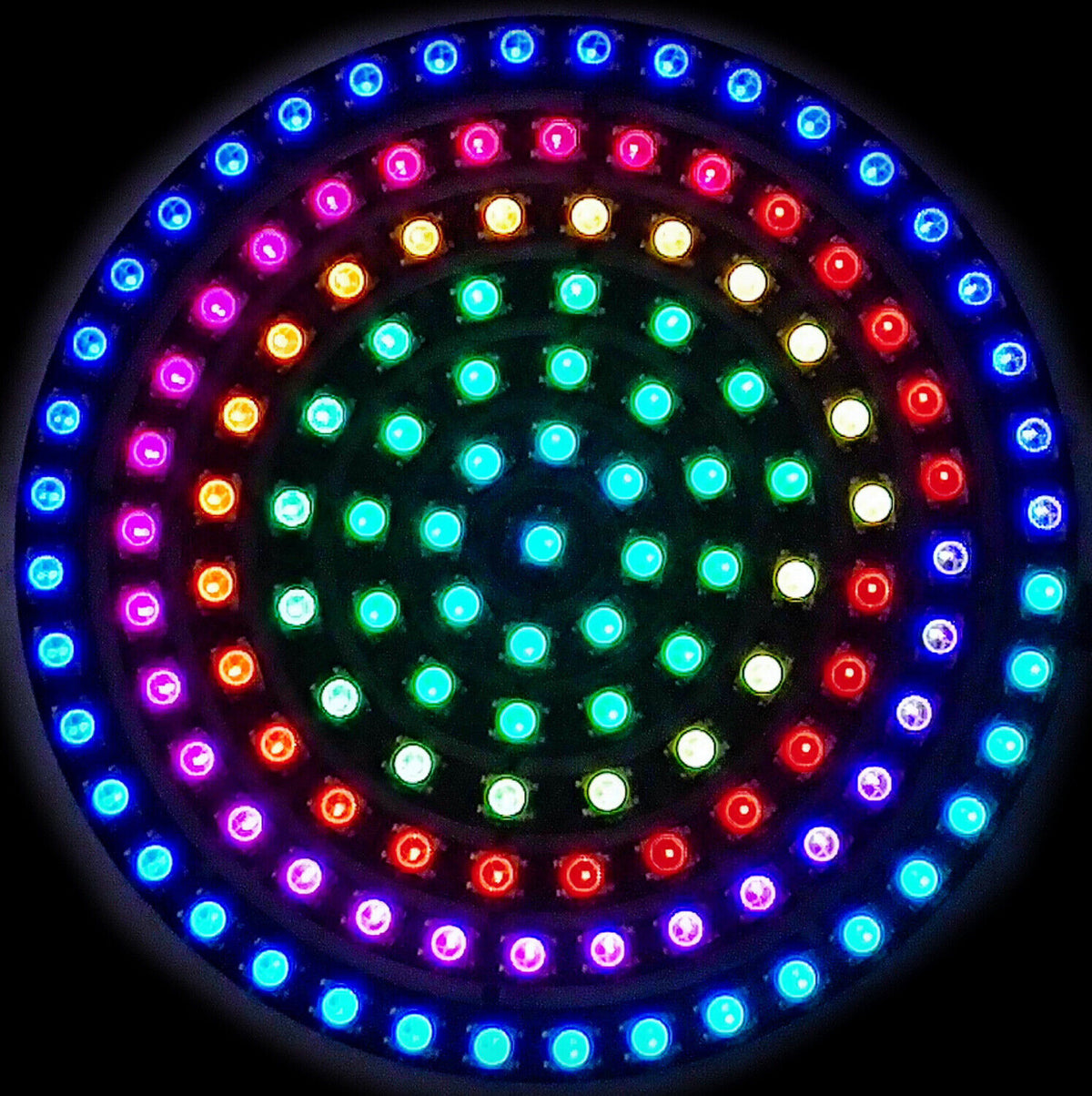 Master-anello LED WS2812B - varie dimensioni - anelli rimovibili