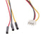 Cable de conexión JST XH2.54 a 3P Dupont (20cm) macho/hembra