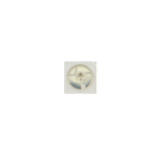 LED RGB SMD WS2812B de 4 pines 5050